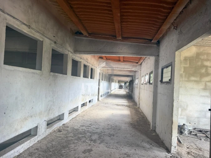 Armazém para Venda em Reguengo Grande Foto 23
