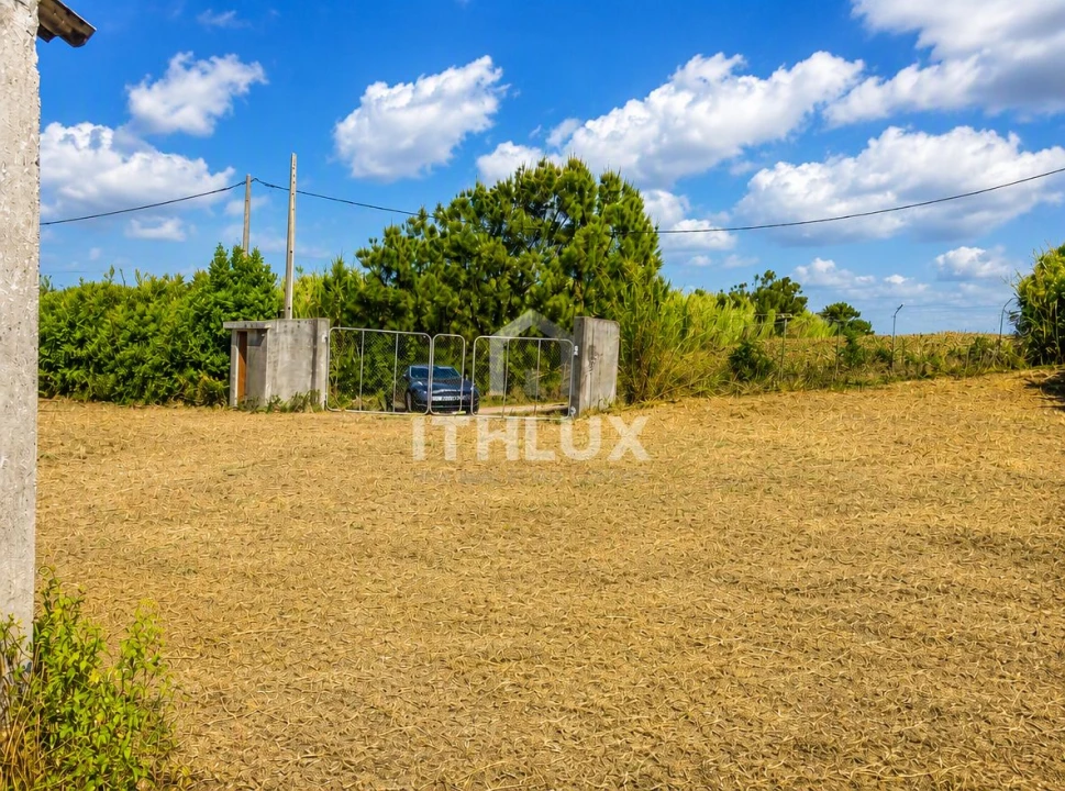 Armazém para Venda em Reguengo Grande Foto 10