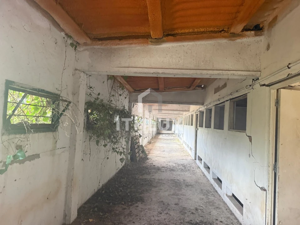 Armazém para Venda em Reguengo Grande Foto 17