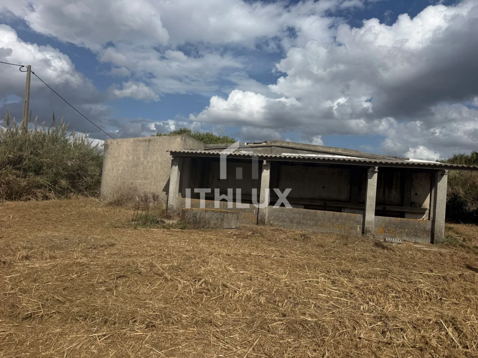 Armazém para Venda em Reguengo Grande Foto 3