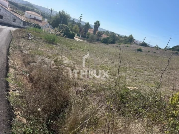 Terreno para Venda em Santa Maria, São Pedro e Sobral da Lagoa