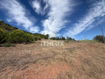 Terreno para Venda em Santa Maria, São Pedro e Sobral da Lagoa