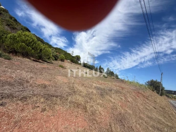 Terreno para Venda em Santa Maria, São Pedro e Sobral da Lagoa