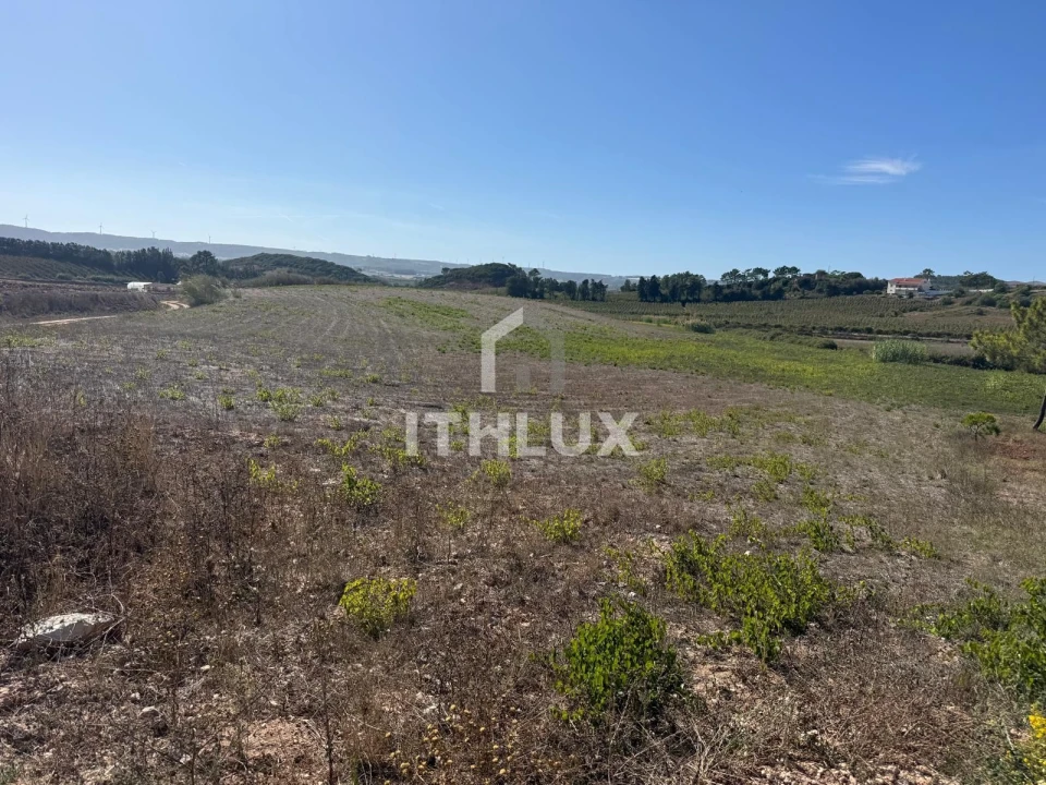 Terreno Agricola ou Rústico para Venda em Santa Maria, São Pedro e Sobral da Lagoa Foto 10