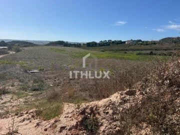 Terreno Agricola ou Rústico para Venda em Santa Maria, São Pedro e Sobral da Lagoa
