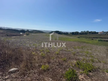 Terreno Agricola ou Rústico para Venda em Santa Maria, São Pedro e Sobral da Lagoa