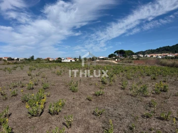Terreno Agricola ou Rústico para Venda em Santa Maria, São Pedro e Sobral da Lagoa