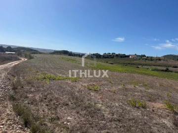 Terreno Agricola ou Rústico para Venda em Santa Maria, São Pedro e Sobral da Lagoa