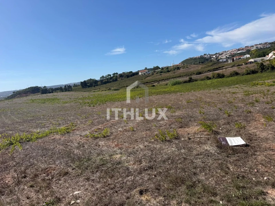 Terreno Agricola ou Rústico para Venda em Santa Maria, São Pedro e Sobral da Lagoa Foto 3