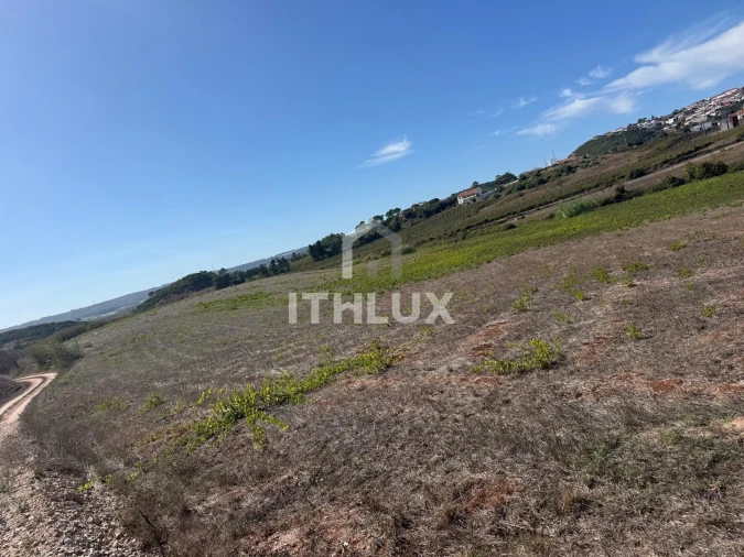 Terreno Agricola ou Rústico para Venda em Santa Maria, São Pedro e Sobral da Lagoa Foto 4