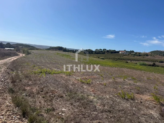 Terreno Agricola ou Rústico para Venda em Santa Maria, São Pedro e Sobral da Lagoa Foto 16