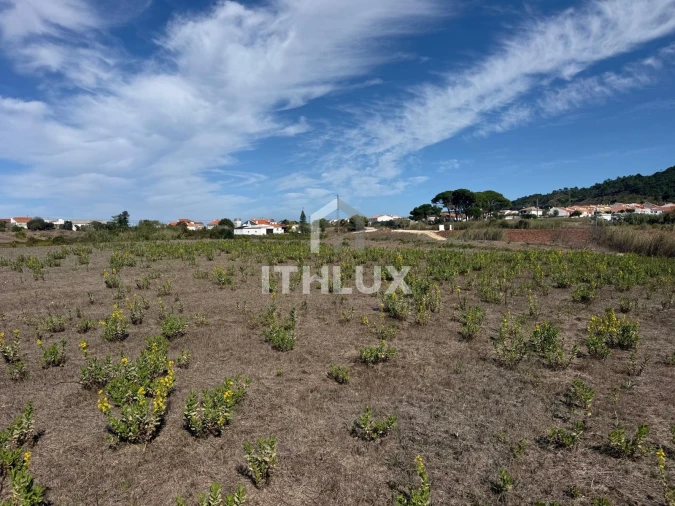 Terreno Agricola ou Rústico para Venda em Santa Maria, São Pedro e Sobral da Lagoa Foto 5