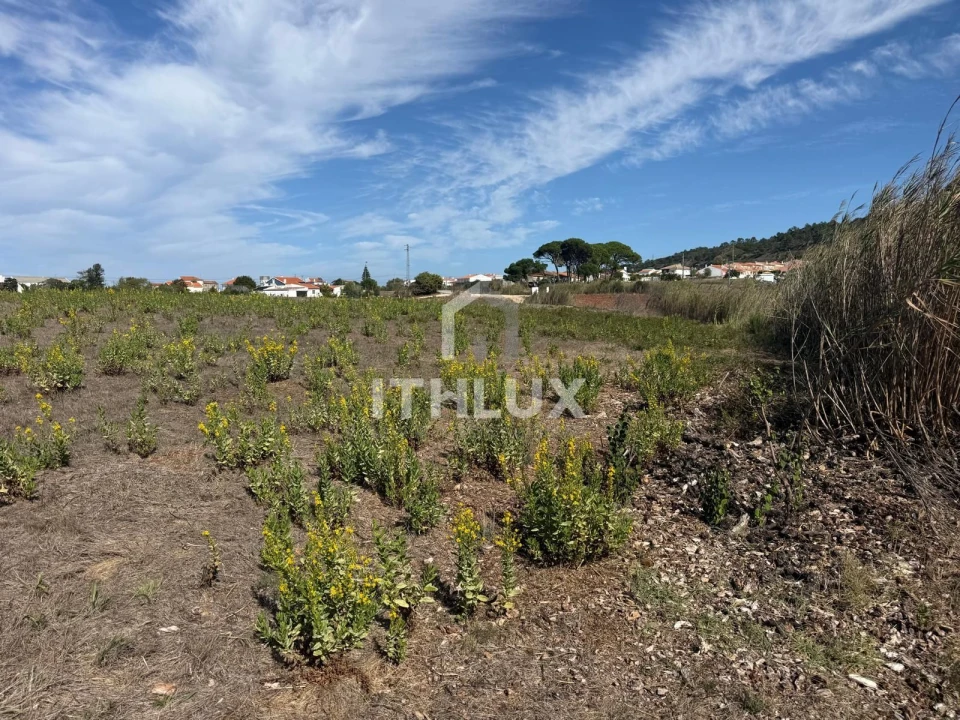 Terreno Agricola ou Rústico para Venda em Santa Maria, São Pedro e Sobral da Lagoa Foto 17