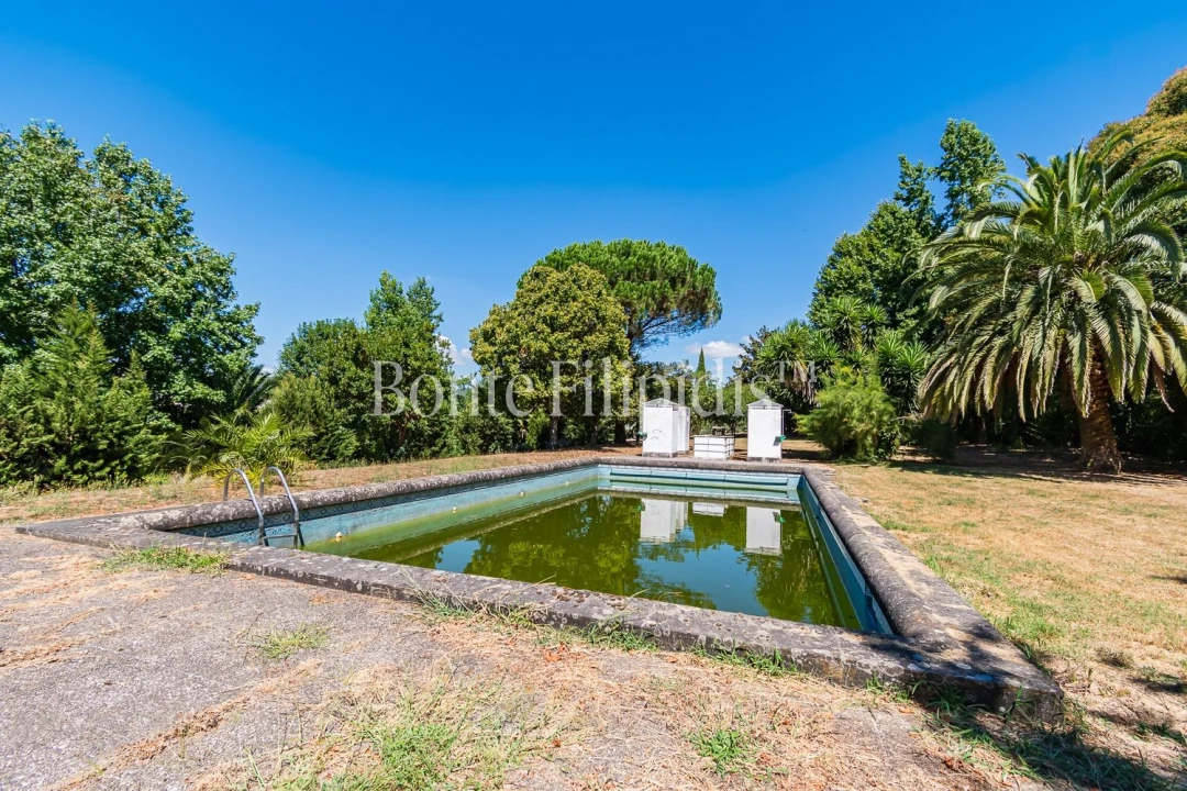 Quinta T6 para Venda em Termas de São Vicente Foto 6