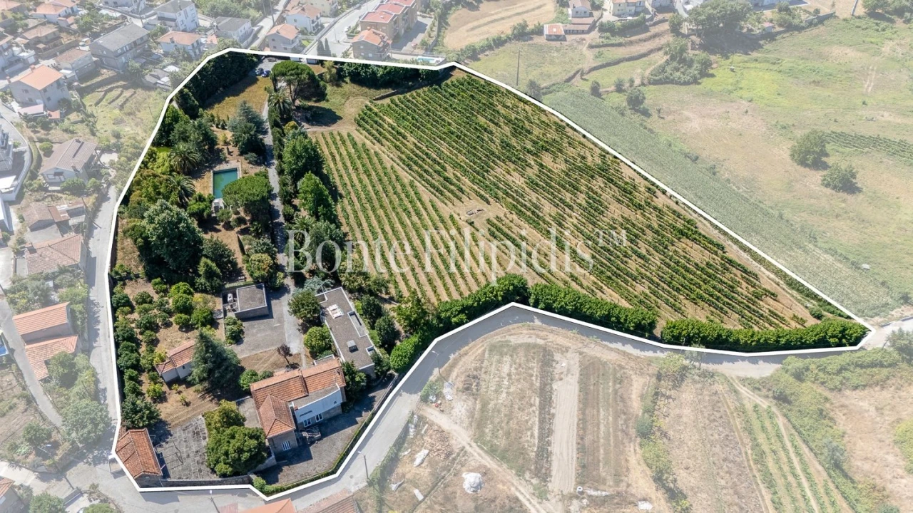 Quinta T6 para Venda em Termas de São Vicente Foto 7