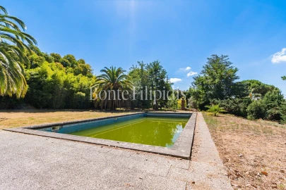 Quinta T6 para Venda em Termas de São Vicente
