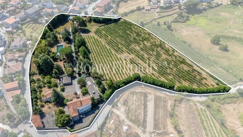Quinta T6 para Venda em Termas de São Vicente