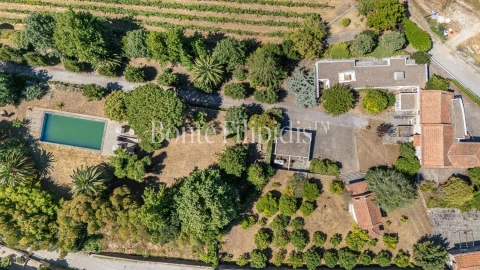 Quinta T6 para Venda em Termas de São Vicente
