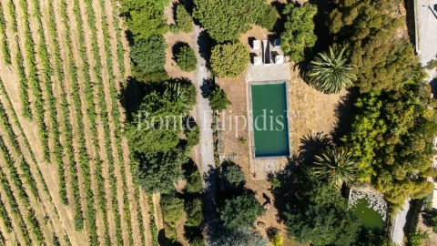 Quinta T6 para Venda em Termas de São Vicente