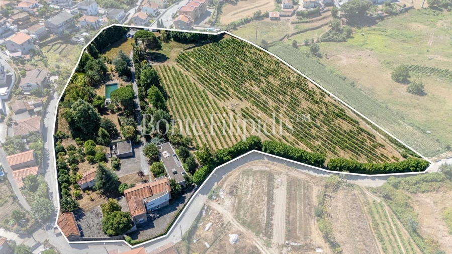 Quinta T6 para Venda em Termas de São Vicente Foto 7