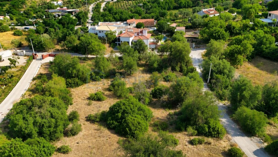 Terreno para Venda em Almancil Foto 4