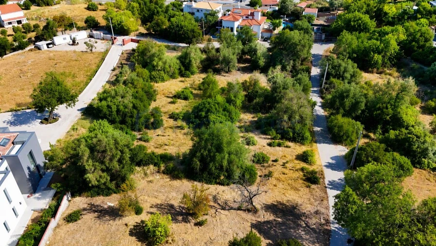 Terreno para Venda em Almancil Foto 11