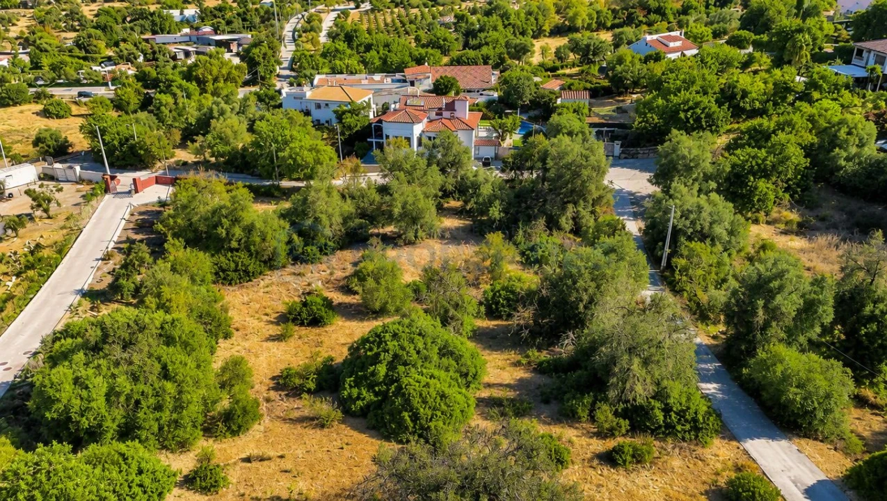 Terreno para Venda em Almancil Foto 19