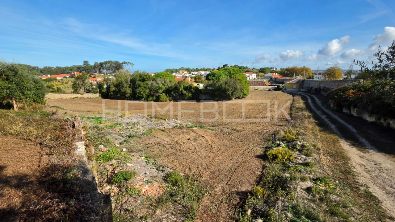 Terreno para Venda em Colares Foto 2