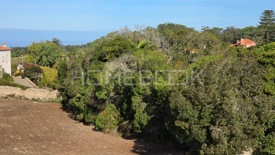 Terreno para Venda em Colares Foto 4