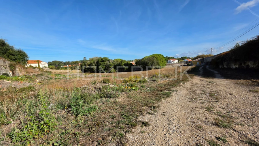 Terreno para Venda em Colares Foto 8