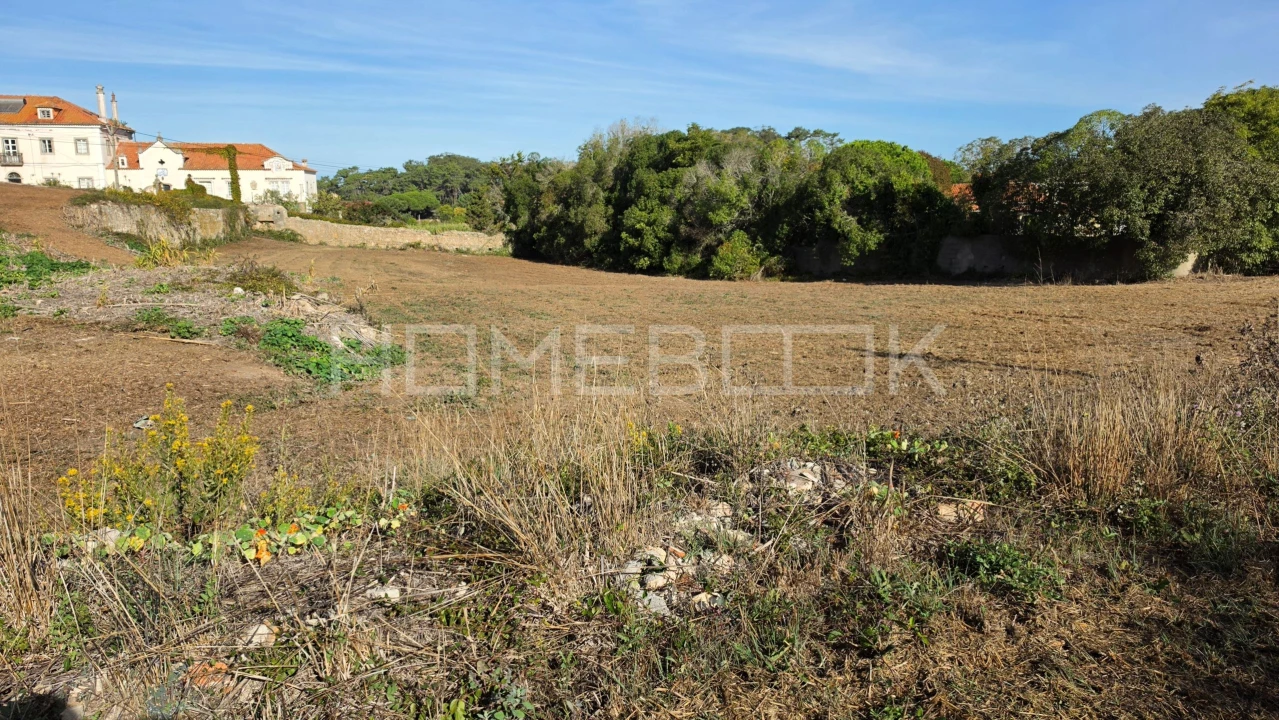 Terreno para Venda em Colares Foto 10