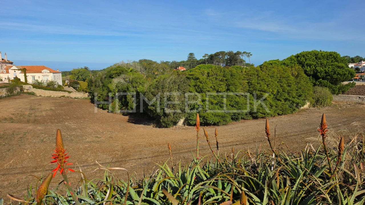 Terreno para Venda em Colares Foto 3