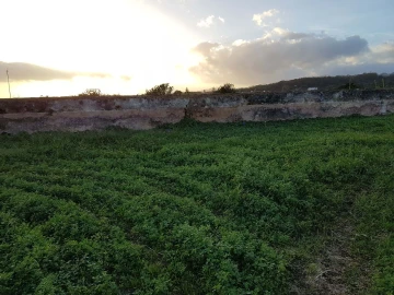 Terreno para Venda em Lagoa (Nossa Senhora do Rosario)