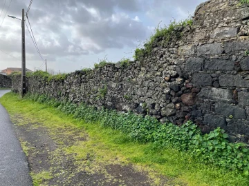 Terreno para Venda em Lagoa (Nossa Senhora do Rosario)