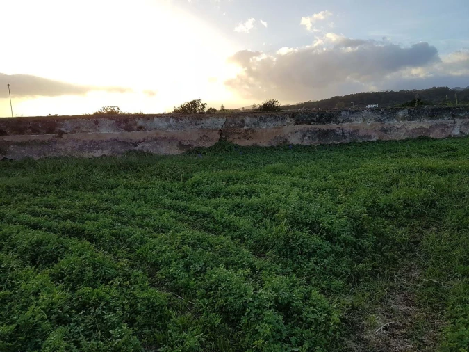 Terreno para Venda em Lagoa (Nossa Senhora do Rosario) Foto 10