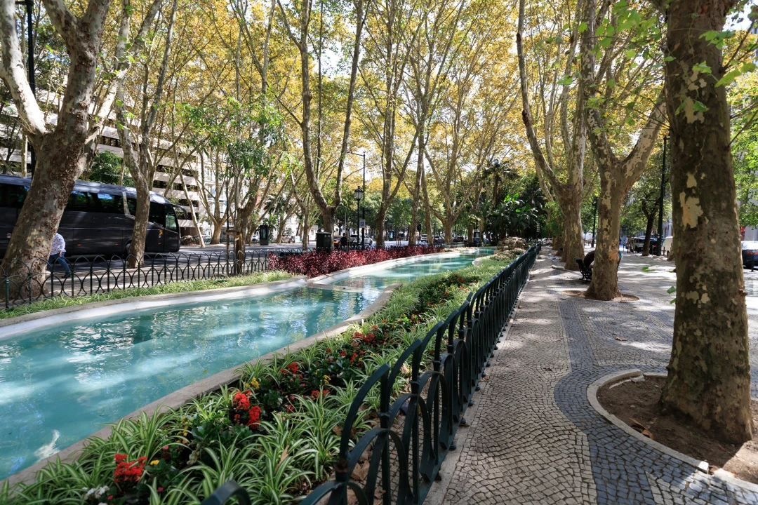 Apartamento T3 para Venda em Santo António Foto 40