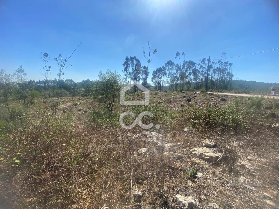 Terreno para Venda em Santa Catarina da Serra e Chainça Foto 4