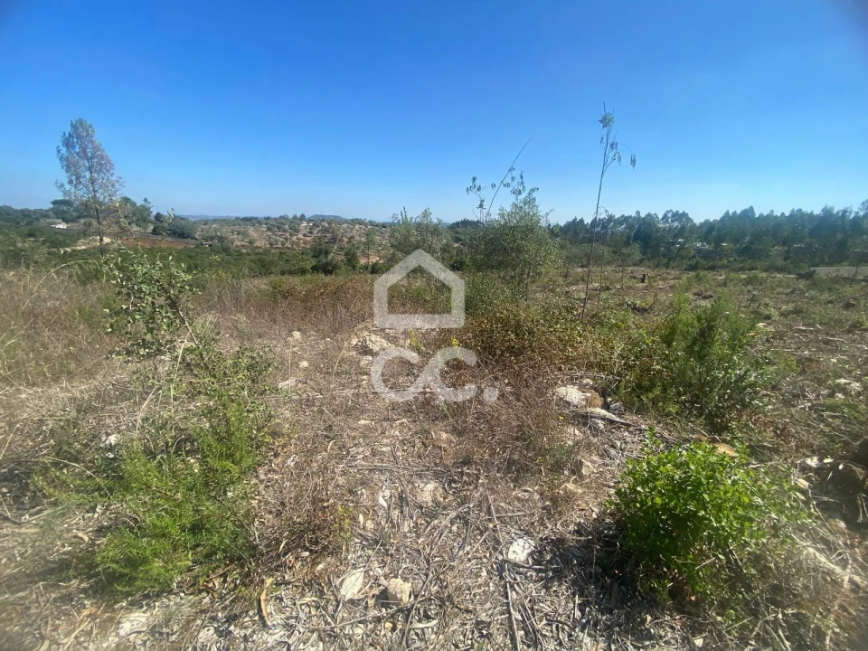 Terreno para Venda em Santa Catarina da Serra e Chainça Foto 7