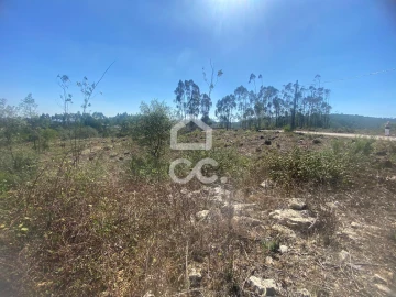 Terreno para Venda em Santa Catarina da Serra e Chainça
