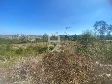 Terreno para Venda em Santa Catarina da Serra e Chainça