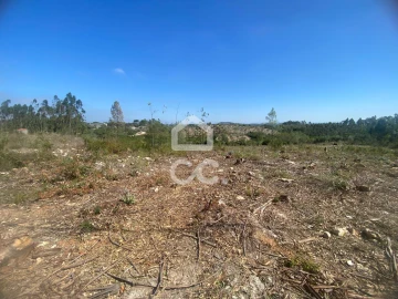 Terreno para Venda em Santa Catarina da Serra e Chainça