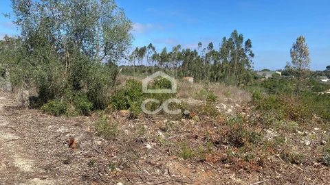 Terreno para Venda em Santa Catarina da Serra e Chainça