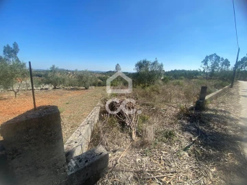 Terreno para Venda em Santa Catarina da Serra e Chainça