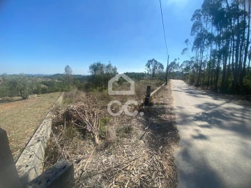Terreno para Venda em Santa Catarina da Serra e Chainça