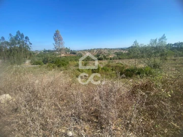 Terreno para Venda em Santa Catarina da Serra e Chainça