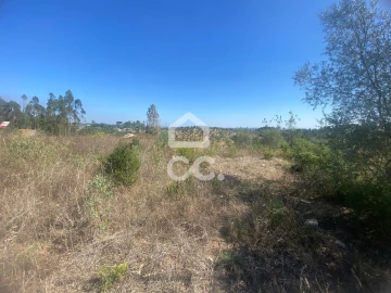 Terreno para Venda em Santa Catarina da Serra e Chainça