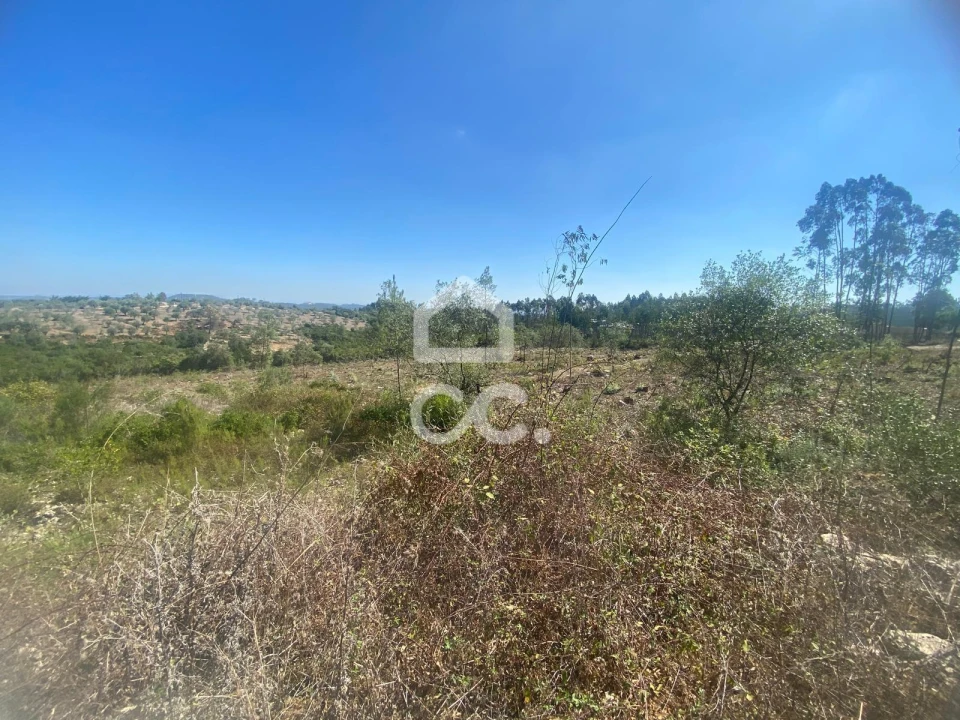 Terreno para Venda em Santa Catarina da Serra e Chainça Foto 3