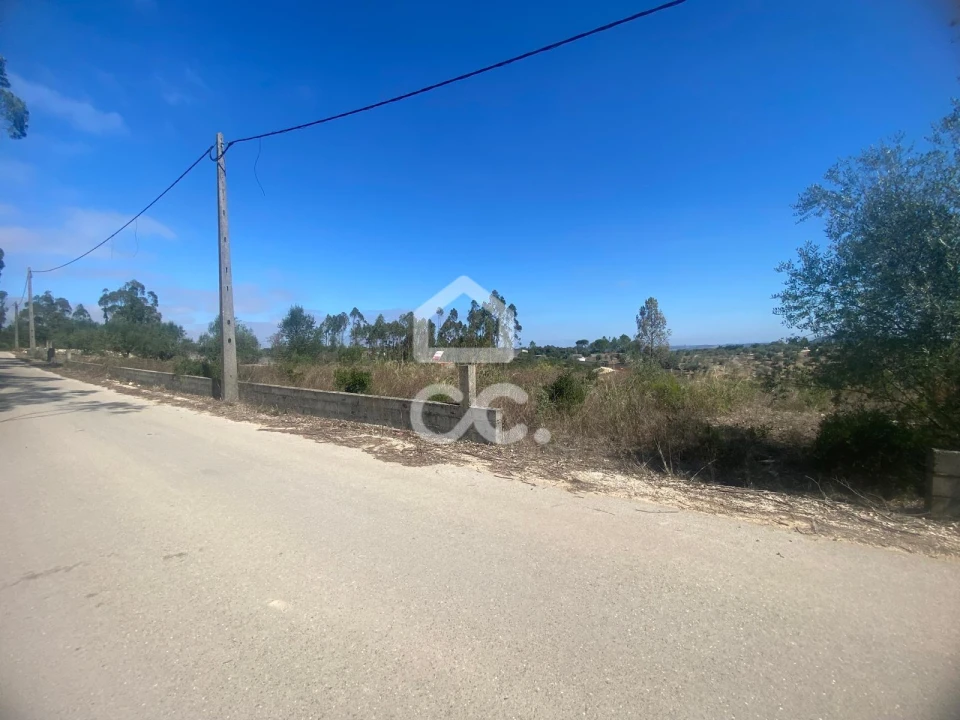 Terreno para Venda em Santa Catarina da Serra e Chainça Foto 9