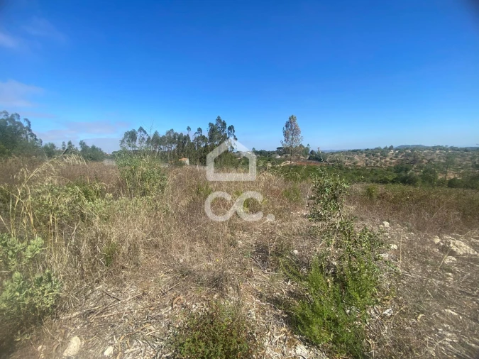 Terreno para Venda em Santa Catarina da Serra e Chainça Foto 10