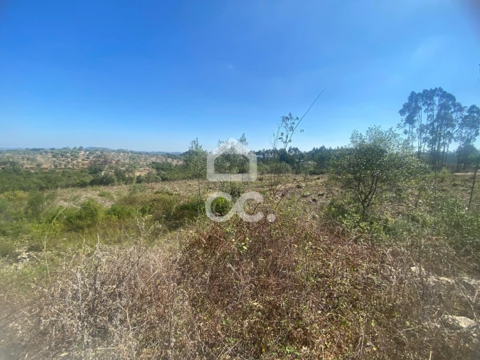 Terreno para Venda em Santa Catarina da Serra e Chainça Foto 3